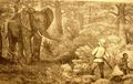 Elephant_hunt