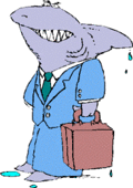 Shark