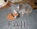 Fail