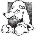 Poodle