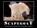 Scapegoat