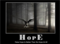 False Hope False Hope