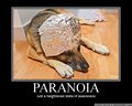 Paranoia Paranoia