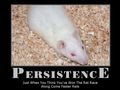 Persistence