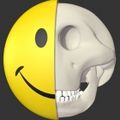 Smiley-Face-Anatomy