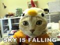 Sky-is-falling Sky-is-falling