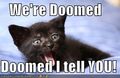 Doomed Doomed