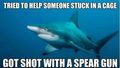 Shark-cage Shark-cage