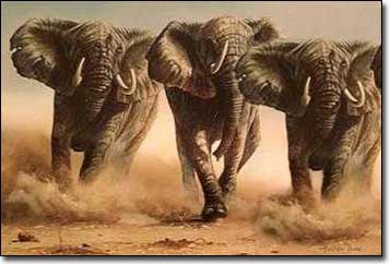 Elephant_stampede