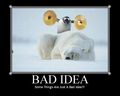 Badidea
