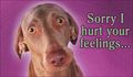 Hurt Feelings