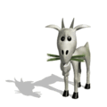 Billy_goat_eating_grass_lg_nwm