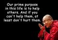 Do good dalai llama