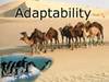 Adaptability_flexibility Adaptability_flexibility