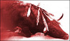 Dead_bull