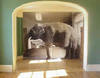 Elephant_in_living_room_1