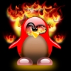 Firepenguinplain